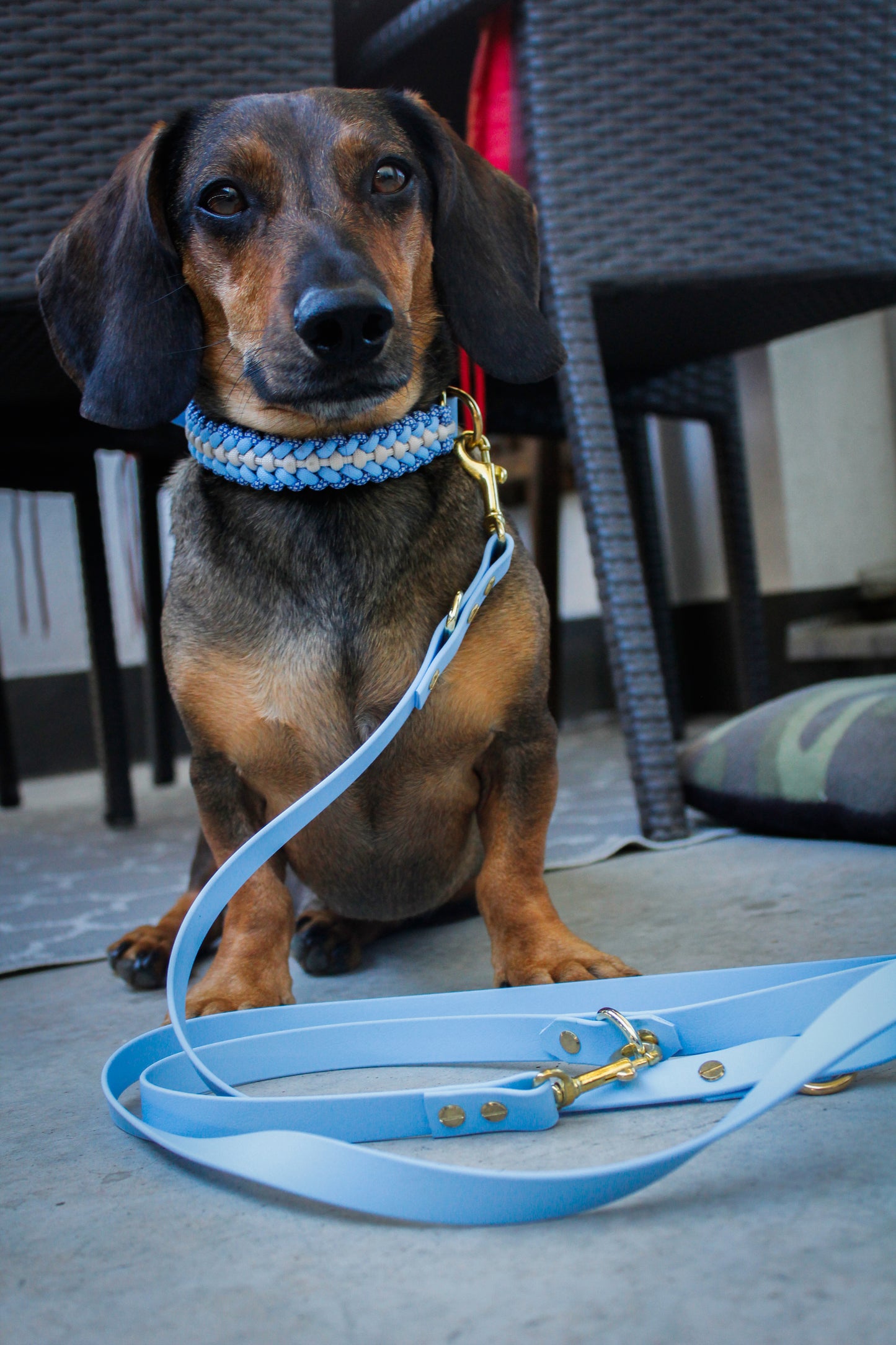 Charlie‘s Blue Dream